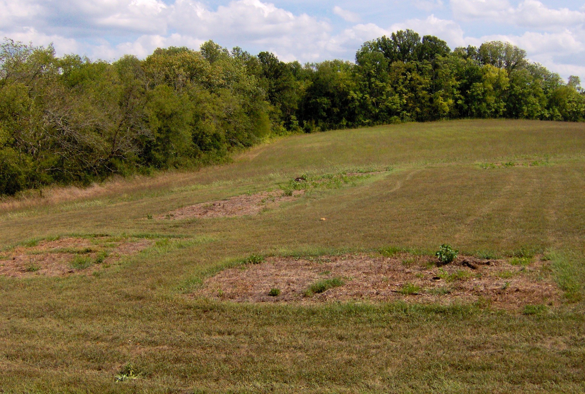 21 Historic Forts of Tennessee: Fascinating Historic Visits