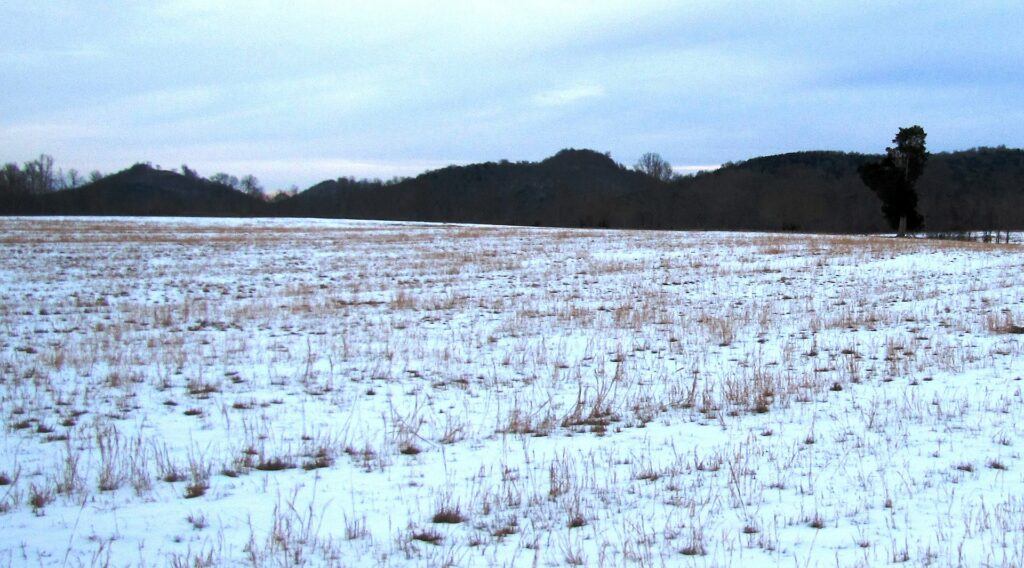 Site of Fort Blount