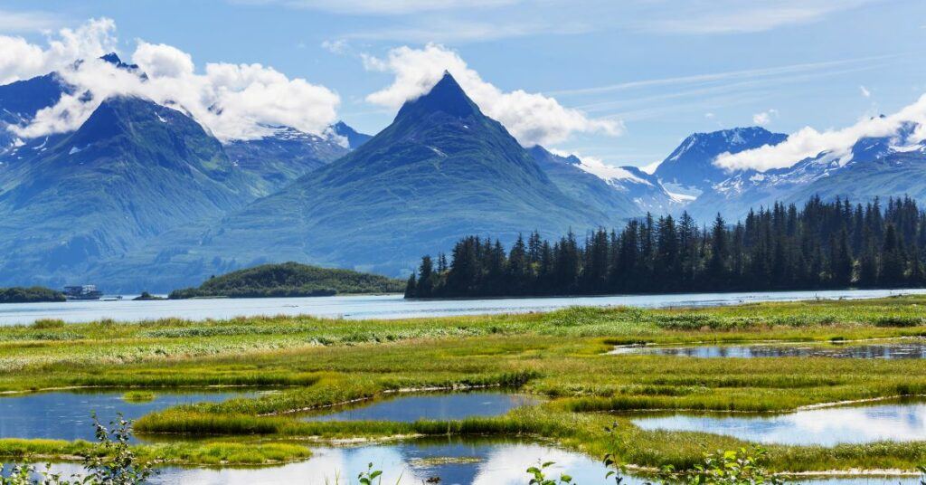 Alaska landscape