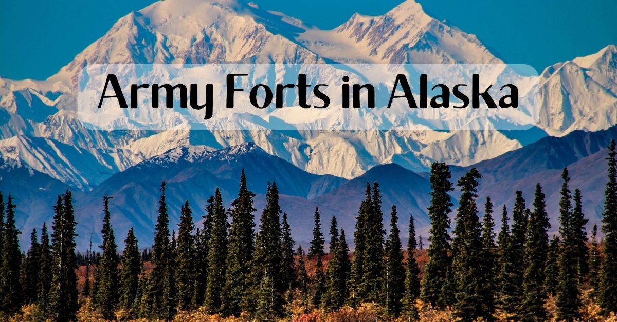 View of the Alaska Wilderness and white capped mountains in the background - Army Forts in Alaska