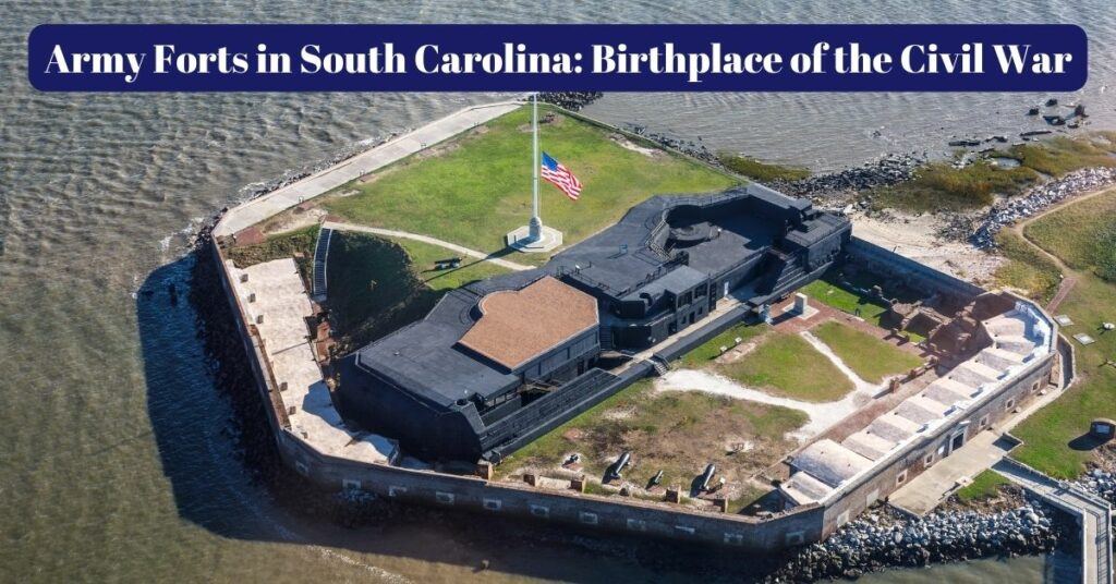 declaration of independence south carolona slavery