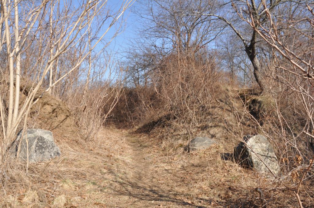 Fort Lee Earthworks Ruins