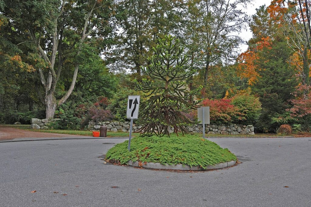 Possible Former Site of Fort Pequot