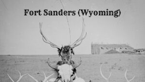 Buffalo, elk, pronghorn, deer, mountain sheep and wolf skulls and bones at Fort Sanders, 1870.