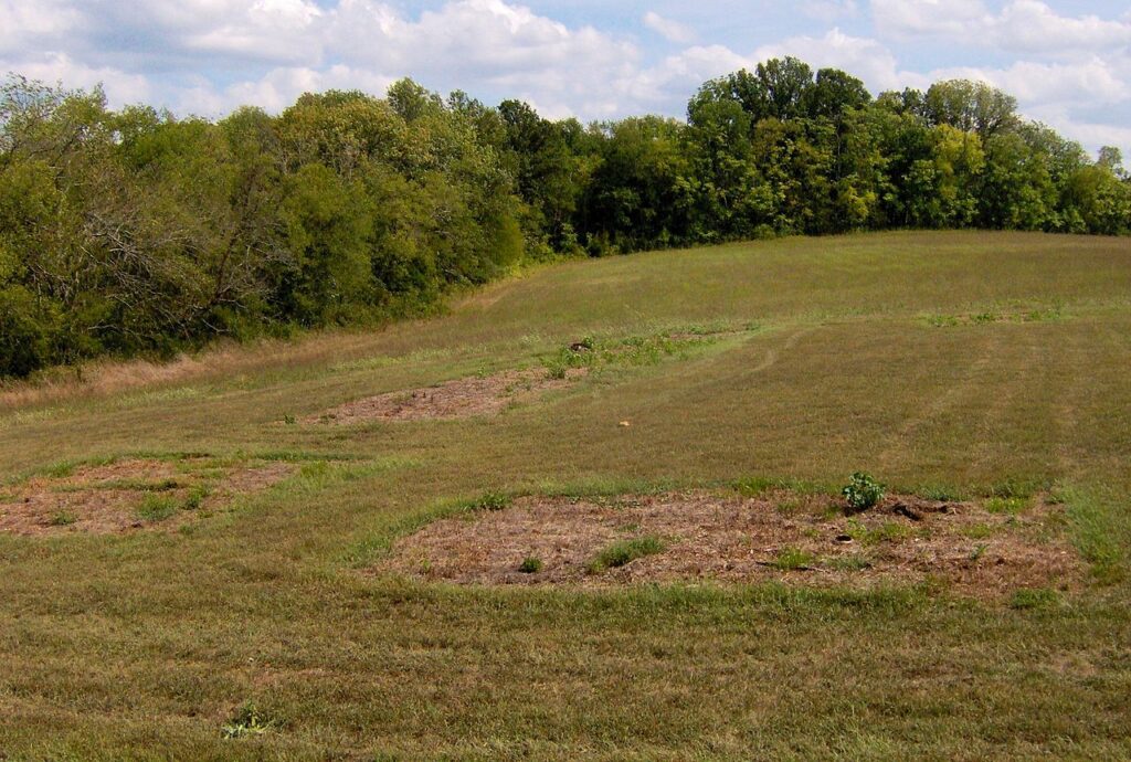 Site of Bledsoe station