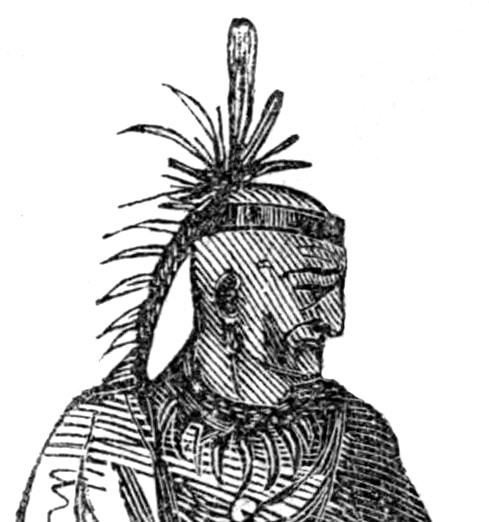 Sketch of Chief Cornstalk