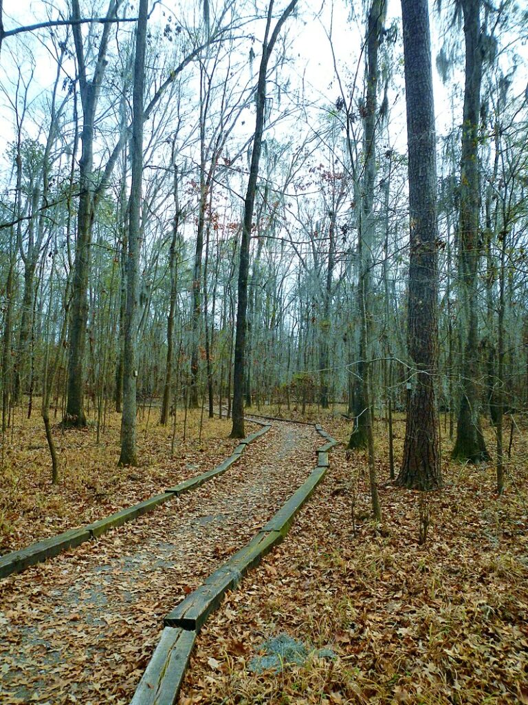 William Bartram Arboretum Ft. Toulouse-Jackson, Alabama