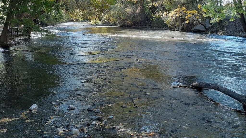 Lower Provo River Utah