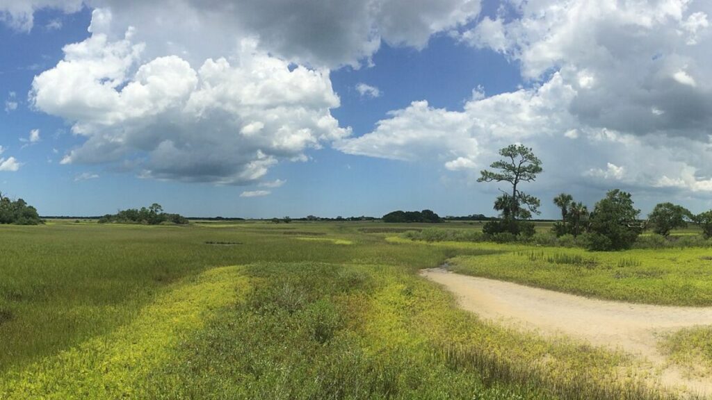 Salt Marsh at Fort Mose