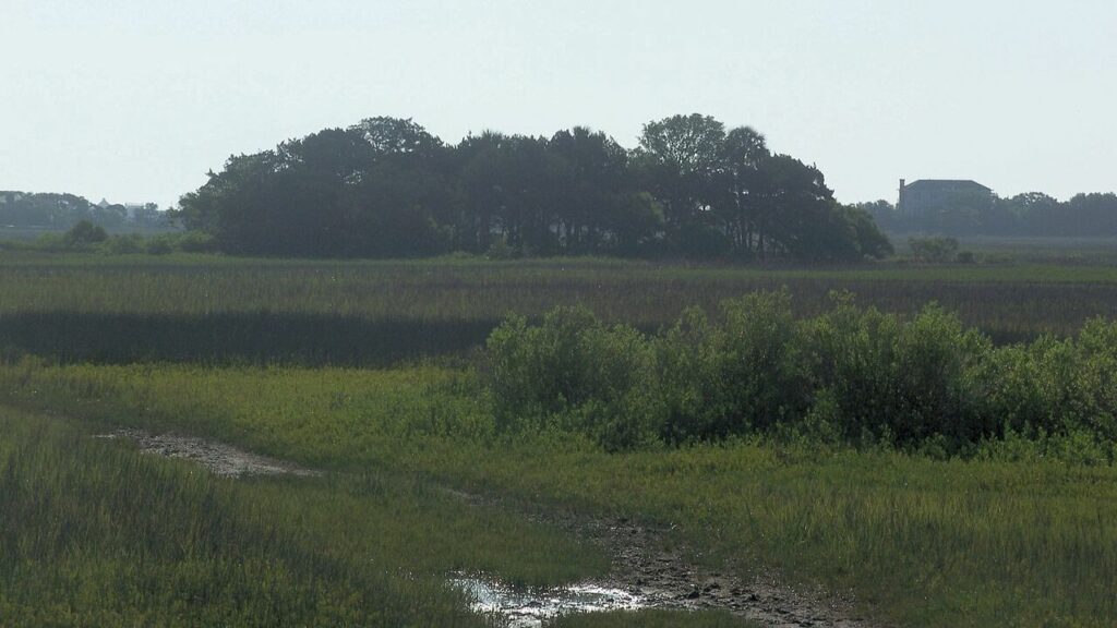 Site of the old fort mose